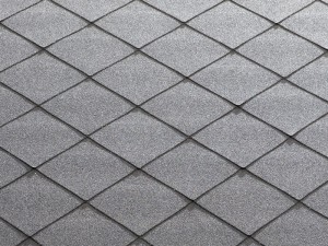 Foxy grey-300x225