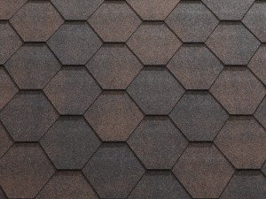 Jazzy Brown-300x225