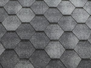 Jazzy Gray-300x225