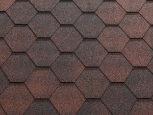 Jazzy Red-300x225