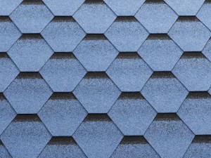 Katrilli blue-1-300x225