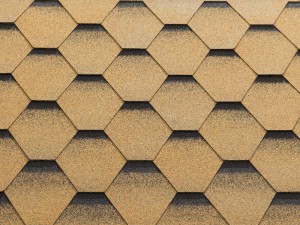 Katrilli goldensand-300x225