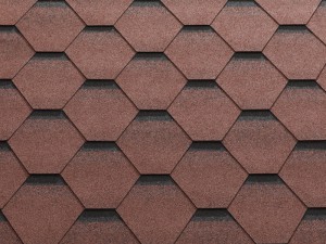 Katrilli red-300x225