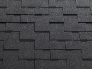 Rocky black-300x225
